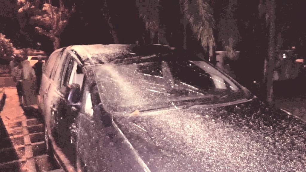 Waspada Pohon Tumbang, BPBD Siapkan Lima Call Center