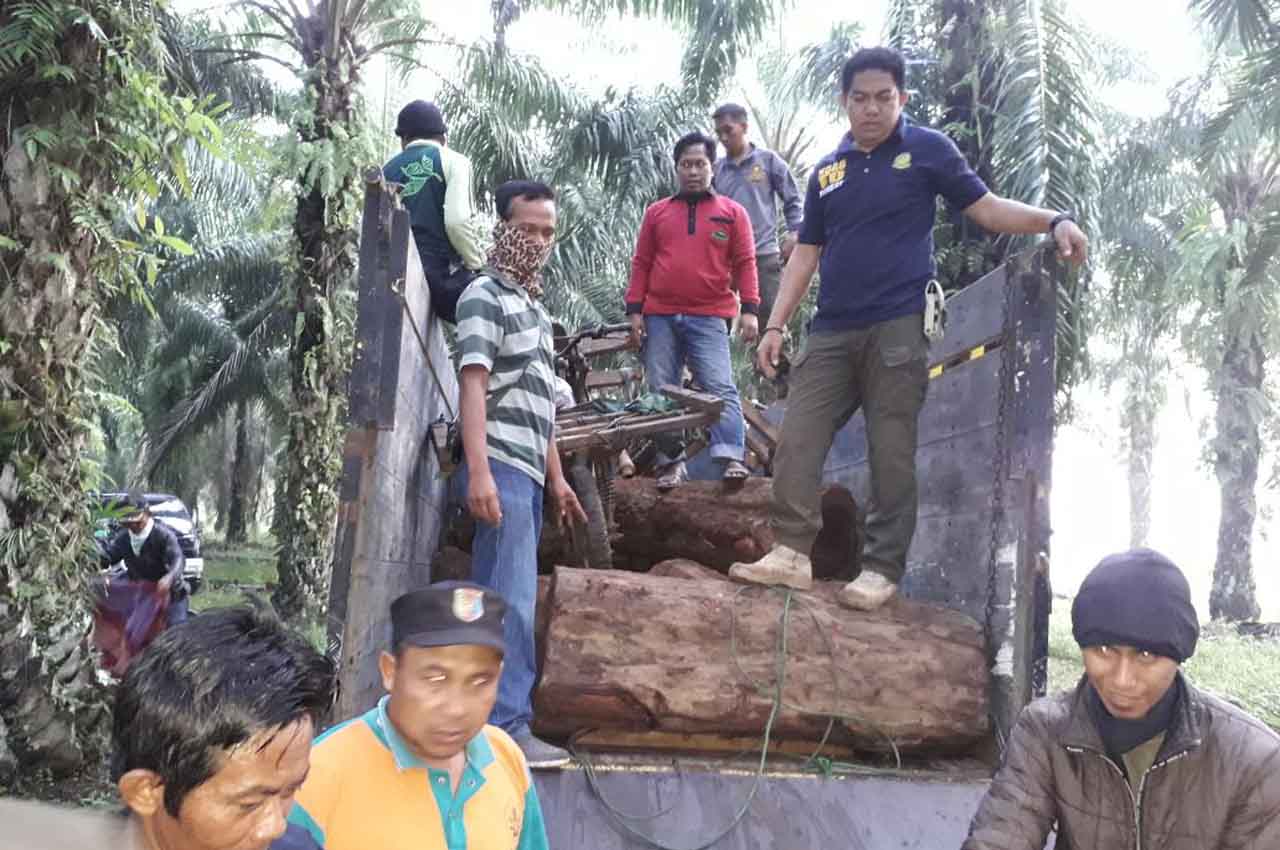 PEMBALAKAN LIAR. Petugas mengamankan kayu dan kendaraan para pembalak liar di perbatasan Sendangretno—Sendangbaru, Kecamatan Sendangagung, Selasa (17/4).  Petugas gabungan dari Dinas Kehutanan Provinsi, Polhut, dan Mitra Kesatuan Pengelolaan Hutan (KPH) menggagalkan sekelompok orang yang berusaha kembali mengambil kayu sonokeling dari Register 22, Way Waya, Lampung Tengah.
LAMPUNG POST/ISTIMEWA