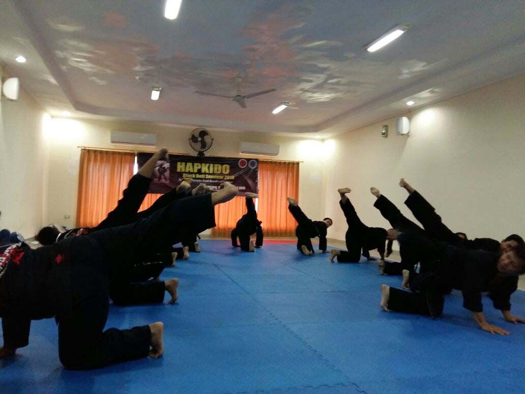 pengprov-hapkindo-gelar-seminar-wasit-ujian-tingkat