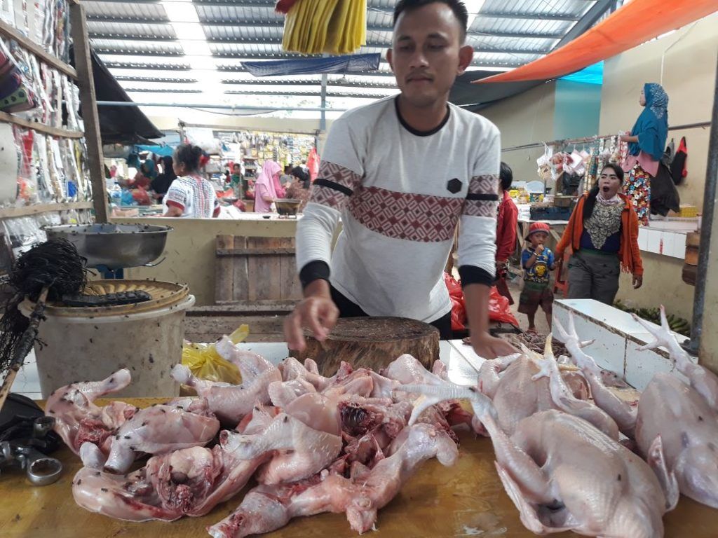 Harga Ayam Naik Rp5.000 per Ekor