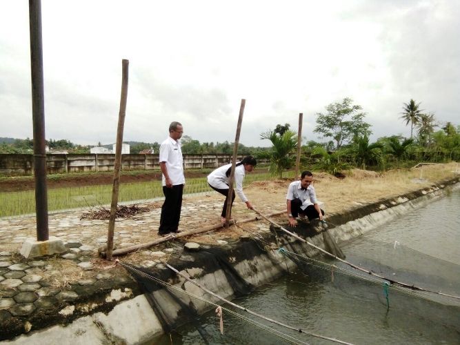 BENIH NILA. Kepala Dinas Perikanan Pringsewu Moch Yusuf (kiri) bersama dua PPL melihat benih nila yang siap dikirim ke petani, Rabu (23/5). Saat ini Pringsewu akan mengembangkan pakan mandiri apung.
LAMPUNG POST/WIDODO