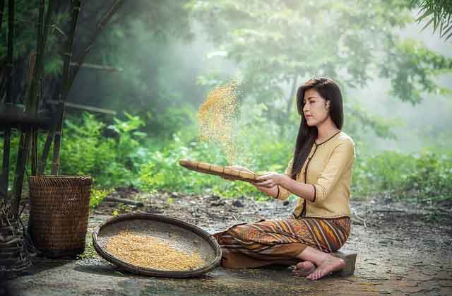 Foto ilustrasi pixabay