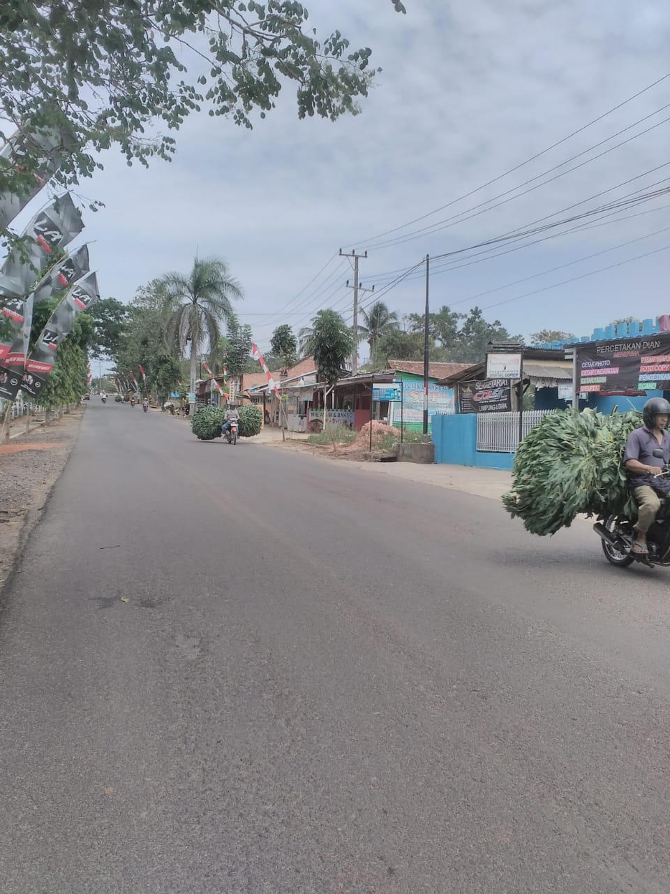 ANGKUT RUMPUT. Sejumlah peternak di Kotabumi, Lampung Utara mengangkut rumput segar mengunakan motor, Minggu (19/8).LAMPUNG POST/HARI SUPRIYONO