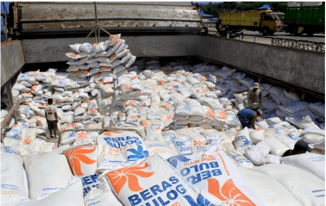 SERAPAN BULOG. Bulog Divisi Regional Lampung baru menyerap sekitar 80 ribu ton beras petani dari target 115 ribu ton pada 2018. MI/PALCE AMALO