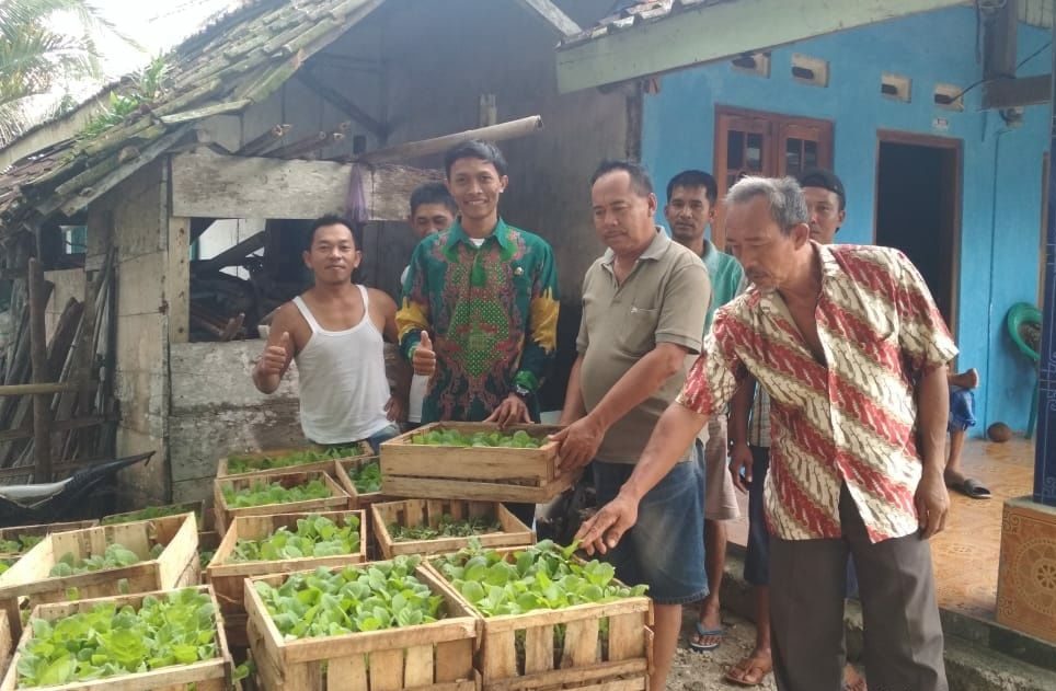 BIBIT TEMBAKAU. Sejumlah warga dan aparat pemerintahan melihat bibit tanaman tembakau, Senin (3/9).
DOK. DINAS PERTANIAN PESISIR BARAT