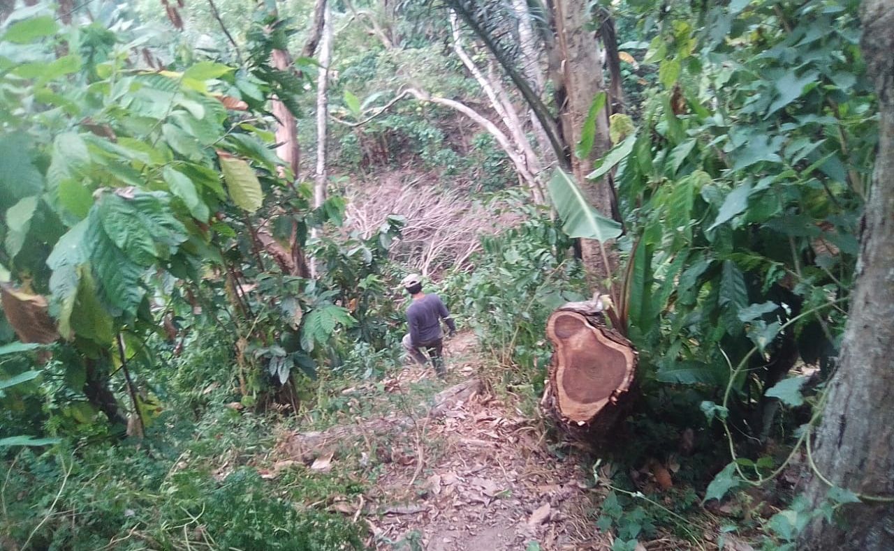Perusakan Hutan Register 22 Masih Terjadi