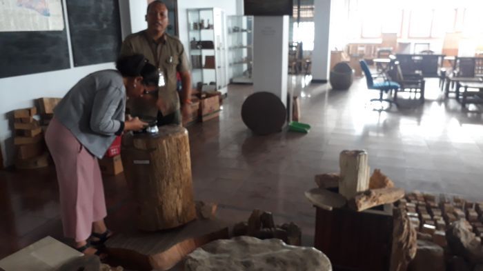 KOLEKSI KAYU. Indonesia pengoleksi spesimen kayu terbanyak di dunia yang memiliki perpustakaan kayu, Xylarium Bogoriense. Perpustakaan tersebut akan diubah menjadi museum agar dapat lebih menarik antusias masyarakat berkunjung. MI/DEDE SUSIANTI