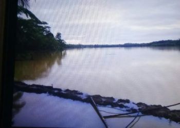 Seratusan Hektare Sawah di Pesisir Selatan Terendam