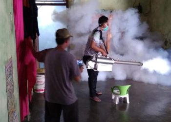 Warga Desa Palasaji Positif Terserang DBD