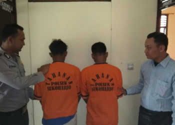 Dua Remaja Pencabul Anak di Bawah Umur Ditangkap