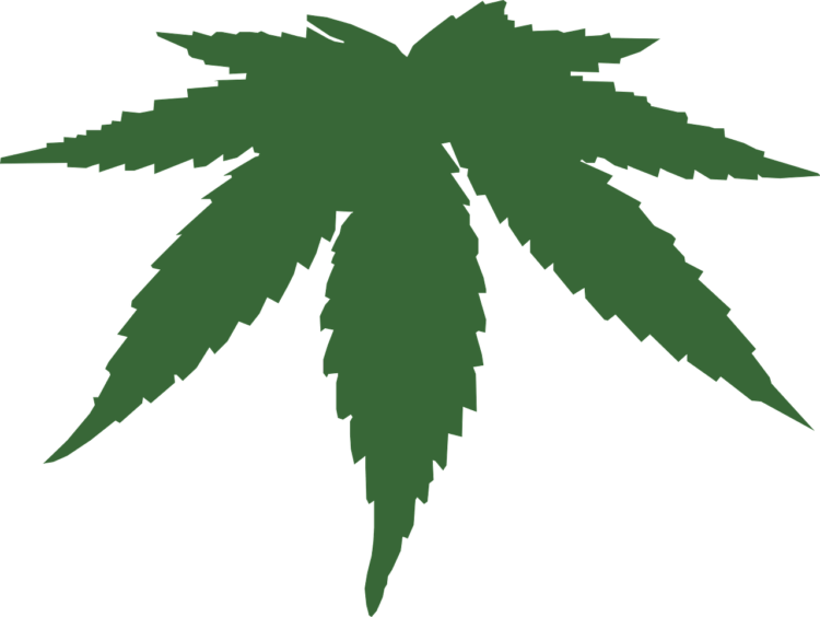 Ganja 2 Kg Gagal Diselundupkan