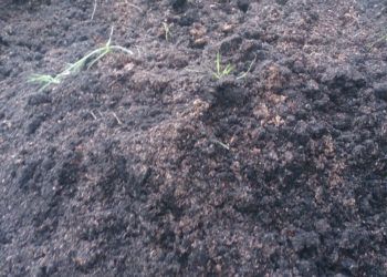 Bank Sampah Media Edukasi Jaga Kebersihan