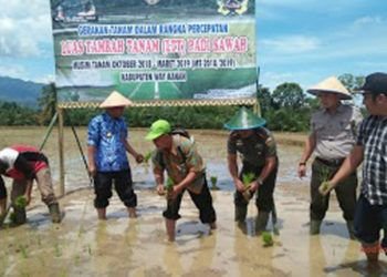 Dinas TPHP dan Kodim Ikut Gerakan Tanam Padi Sawah