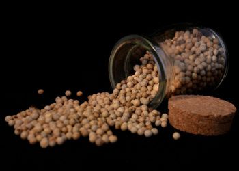 Produksi Lada di Lambar Anjlok