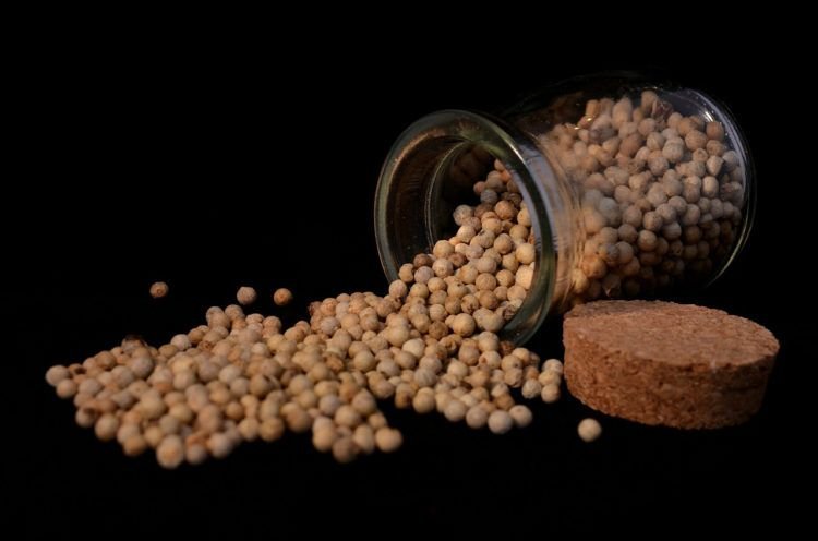 Produksi Lada di Lambar Anjlok