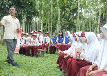 Keseruan Belajar di Hutan Coca-Cola