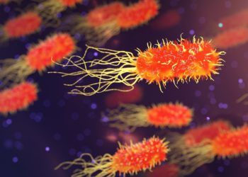 2.940 Warga Lamtim Terserang Tifus