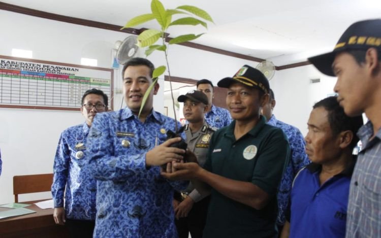 Bupati Serahkan 25 Ribu Bibit Kakao ke Petani
