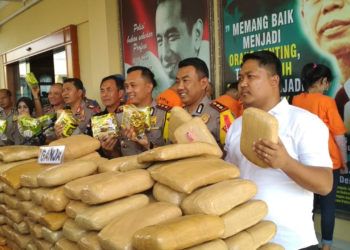 Pengiriman 295 Kg Ganja Digagalkan