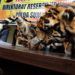 Penjualan Kulit Harimau Sumatera Digagalkan
