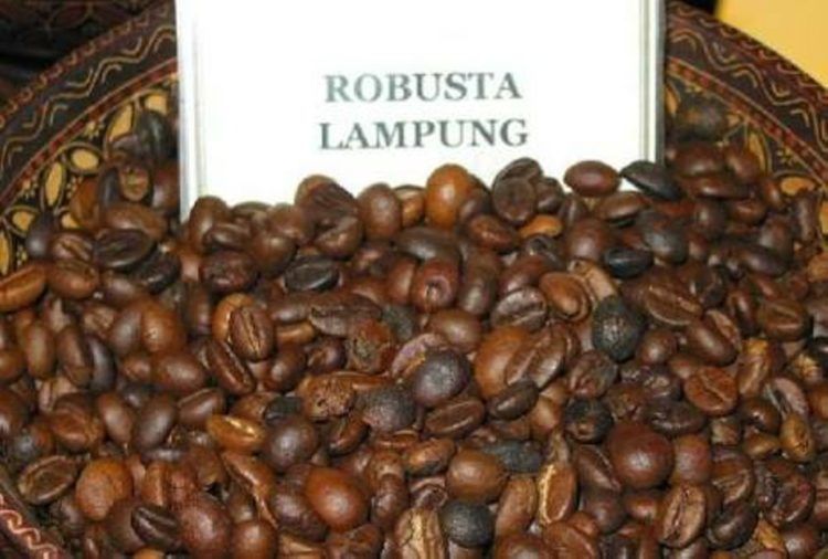 Masa Depan Kopi dalam Bahaya