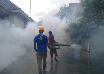 KASUS DBD MENINGKAT. Pegawai Puskesmas Kecamatan Ketapang, Lampung Selatan melakukan pengasapan di Desa Sripendowo, Kecamatan Ketapang, Lampung Selatan, Kamis (24/1). Pengasapan dilakukan karena terjadi peningkatan kasus deman berdarah dengue (DBD) pada awal 2019 sudah terjadi 5 kasus DBD, sedangkan sepanjang tahun 2018 hanya terdapat 7 kasus.
LAMPUNG POST/AAN KRIDOLAKSONO