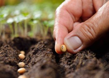 Kodim Lampura Manfaatkan Lahan Tidur