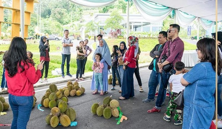 LELANG DURIAN CITRALAND. Citra Land melelang ratusan durian kepada masyarakat dalam Food and Fresh Festival, Sabtu-Minggu (26-27/1).LAMPUNG POST/EFFRAN KURNIAWAN