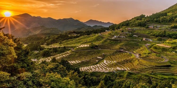 Lampung Terus Tingkatkan Kemampuan Sentra Produksi Pangan