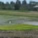 Petani Sawah Tadah Hujan Terancam Gagal Tanam
