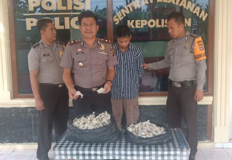 Pencuri Sarang Walet Diamankan
