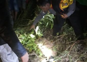 Hilang Sehari, Siswa MTs Ditemukan Tewas