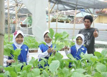 Reboisasi 80 Hektare Lahan Kritis