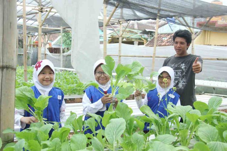 Reboisasi 80 Hektare Lahan Kritis