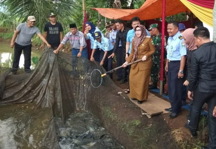 Tanggamus Komitmen Jadi Sentra Ikan Air Tawar