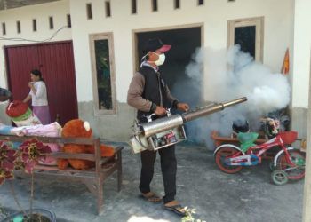 Pengasapan Hanya Pencegahan Penyebaran DBD