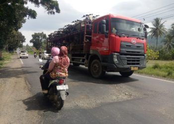 JALAN RUSAK. Pengendara saat melintas di Jalinsum Km 64/65 Desa Kelau, Kecamatan Penengahan, Lamsel. Kondisi jalan sepanjang 1,5 km rusak, berlubang, dan bergelombang. Kondisi ini dikhawatirkan dapat mengancam  keselamatan pengguna jalan, terutama pengendara sepeda motor. n LAMPUNG POST/AAN KRIDOLAKSONO
