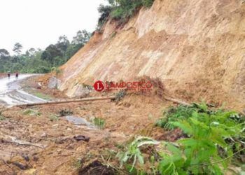 Longsor di wilayah Lampung Barat beberapa waktu lalu. (Foto:dok.Lampost.co)