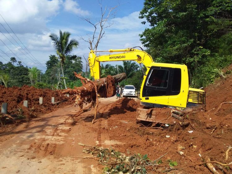BERSIHKAN MATERIAL LONGSOR. Alat berat Dinas PU Lampung Utara sedang memindahkan material longsor di Jalan Lintas Barat Desa Dwikora, Bukitkemuning, Senin (18/2). Tanah longsor yang sebelumnya sempat menutup badan jalan kini telah lancar dan dapat dilalui kendaraan roda dua dan empat.
DOK PU LAMPURA