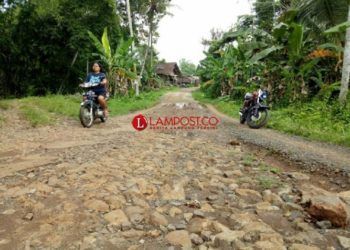 Jalan di Dusun Sumbersari, Desa Pasuruan, Kecamatan Penengahan, Lampung Selatan rusak. (Lampost.co/ Juwantoro)