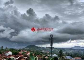 Ilustrasi. Foto: Dok/MI