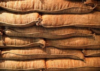 Stok Beras Bulog Terancam Rusak