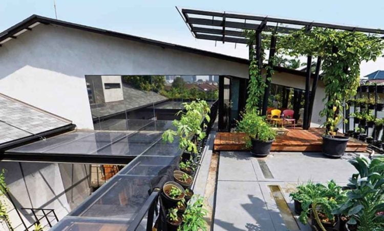 TAMAN ATAP. Salah satu cara menyiasati taman di lahan sempit yang kini tengah hit adalah dengan membuat taman di atas atap atau roof garden.