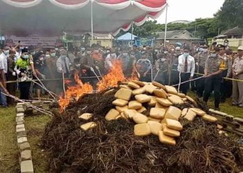 PEMUSNAHAN NARKOBA. Kapolda Lampung Irjen Purwadi Arianto bersama jajaran Polres Lampung Selatan saat pemusnahan narkoba jenis sabu-sabu sebanyak 25 kg, 40 ribu butir pil ekstasi, dan 415 kg ganja yang merupakan hasil ungkap sepanjang Oktober 2018—Februari 2019 di halaman Asrama Polres Lampung Selatan, Selasa (12/3). LAMPUNG POST/AAN KRIDOLAKSONO