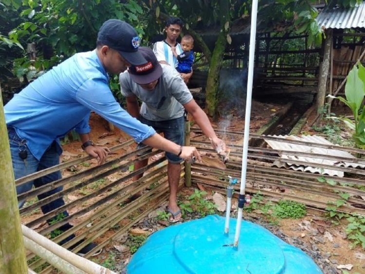 Tarjio Olah Kotoran Sapi Jadi Biogas