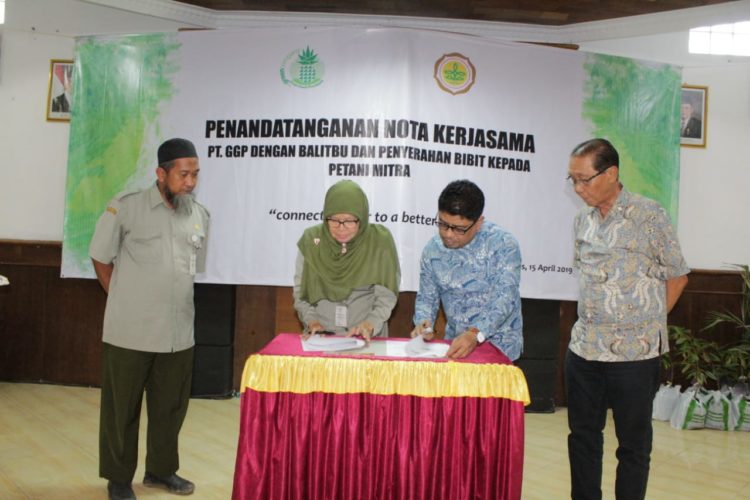 GGP-Balitbu Kerja Sama Kembangkan Buah Tropika