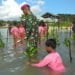 Brigif 4 Marinir Bersama Masyarakat Tanam 3.000 Mangrove