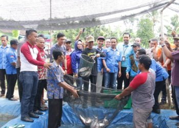 Bupati Pringsewu Harapkan Pembuatan Pakan Ikan Mandiri