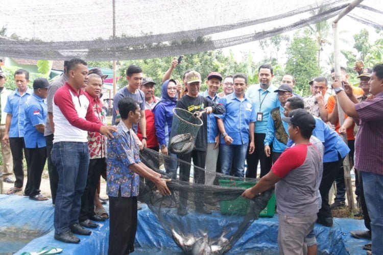 Bupati Pringsewu Harapkan Pembuatan Pakan Ikan Mandiri