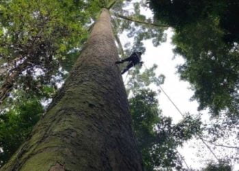 Desa Sembungan Tertinggi di Pulau Jawa